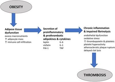 Effectiveness, safety, and costs of thromboprophylaxis with enoxaparin or unfractionated heparin in inpatients with obesity